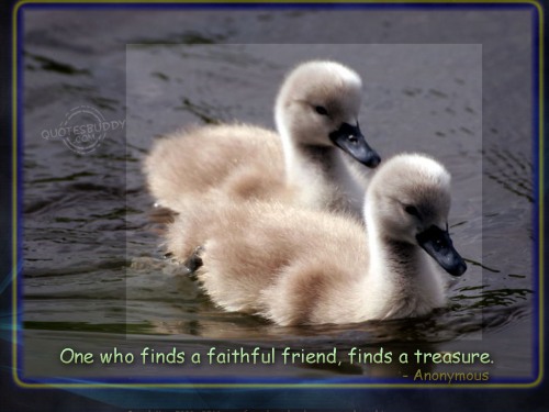 Posted in Best Friend Quotes | Tagged: Best Friend, Faithful Friend, 