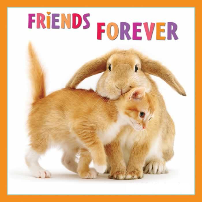 funny friends forever quotes. Friends Forever